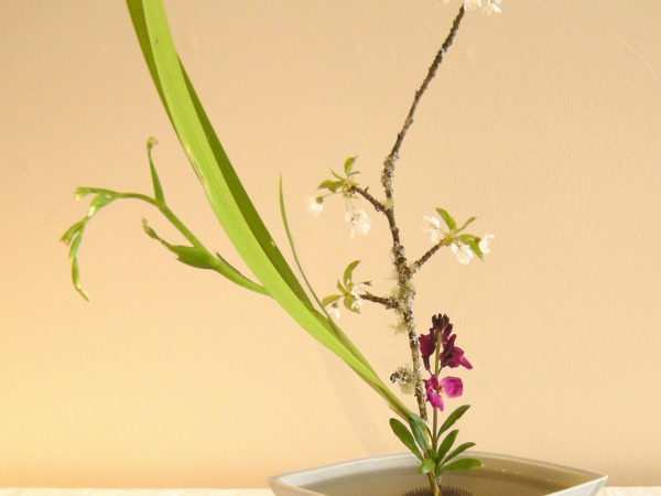 https://learn.aamstage.org/wp-content/uploads/sites/6/2020/01/Ikebana_-_Yoshiko_Nakamura_01B-600x450.jpg 1x, https://learn.aamstage.org/wp-content/uploads/sites/6/2020/01/Ikebana_-_Yoshiko_Nakamura_01B.jpg 2x