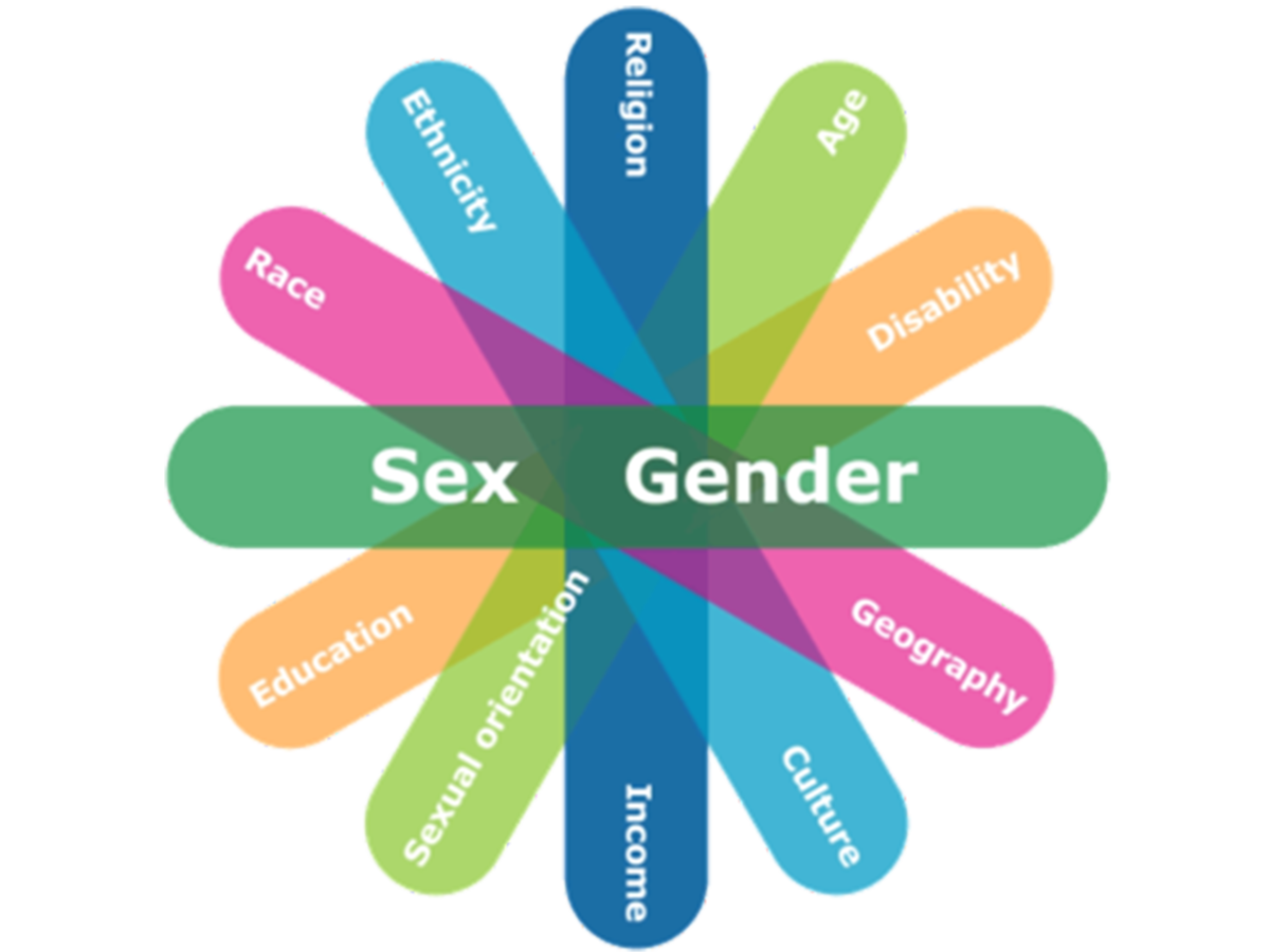 Graphic showing intersecting identities.