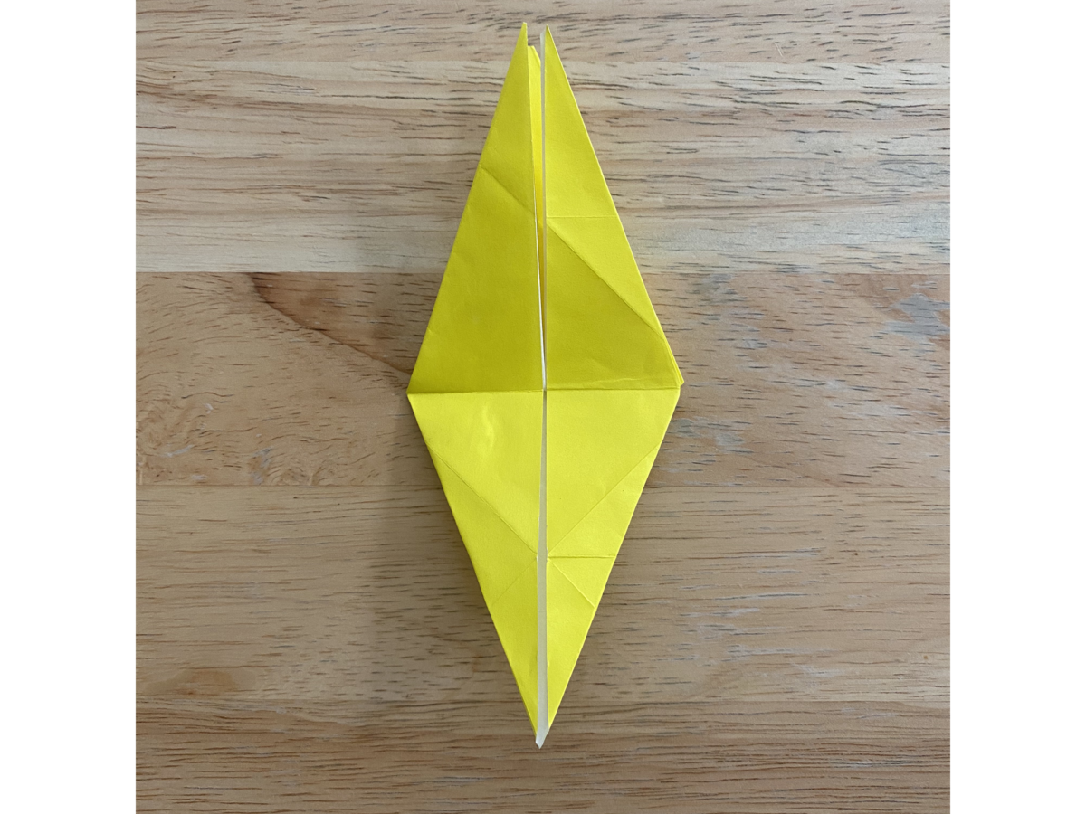 Detail view of an origami step.