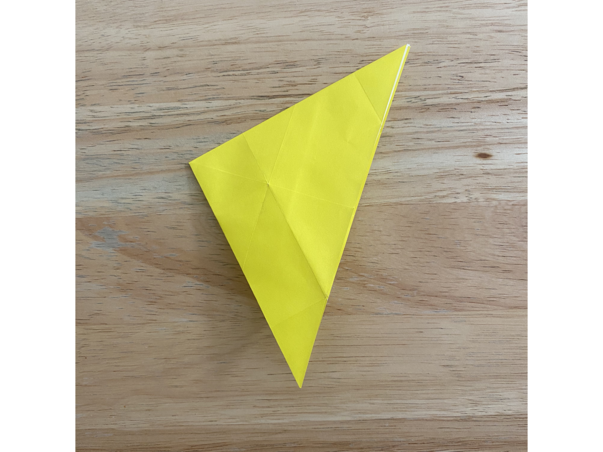 Detail view of an origami step.