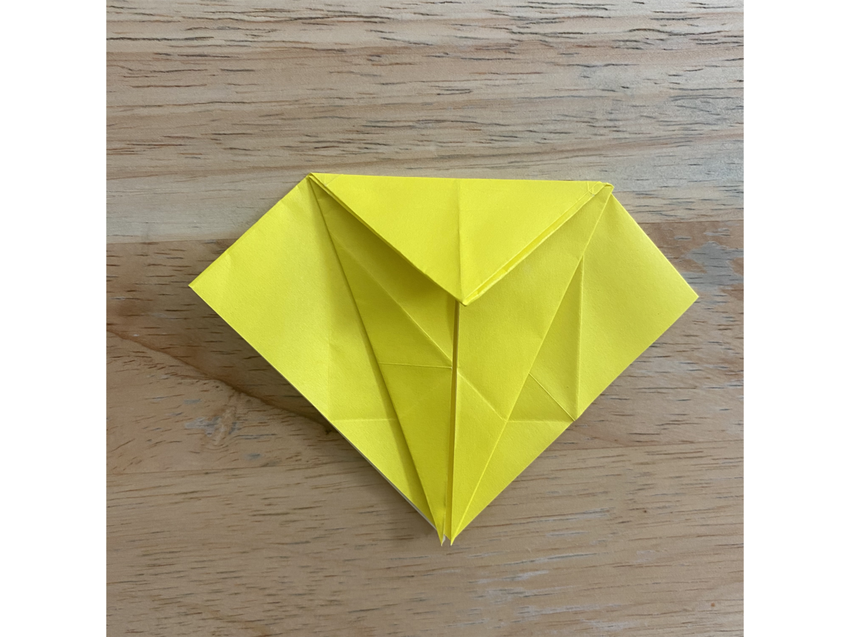 Detail view of an origami step.