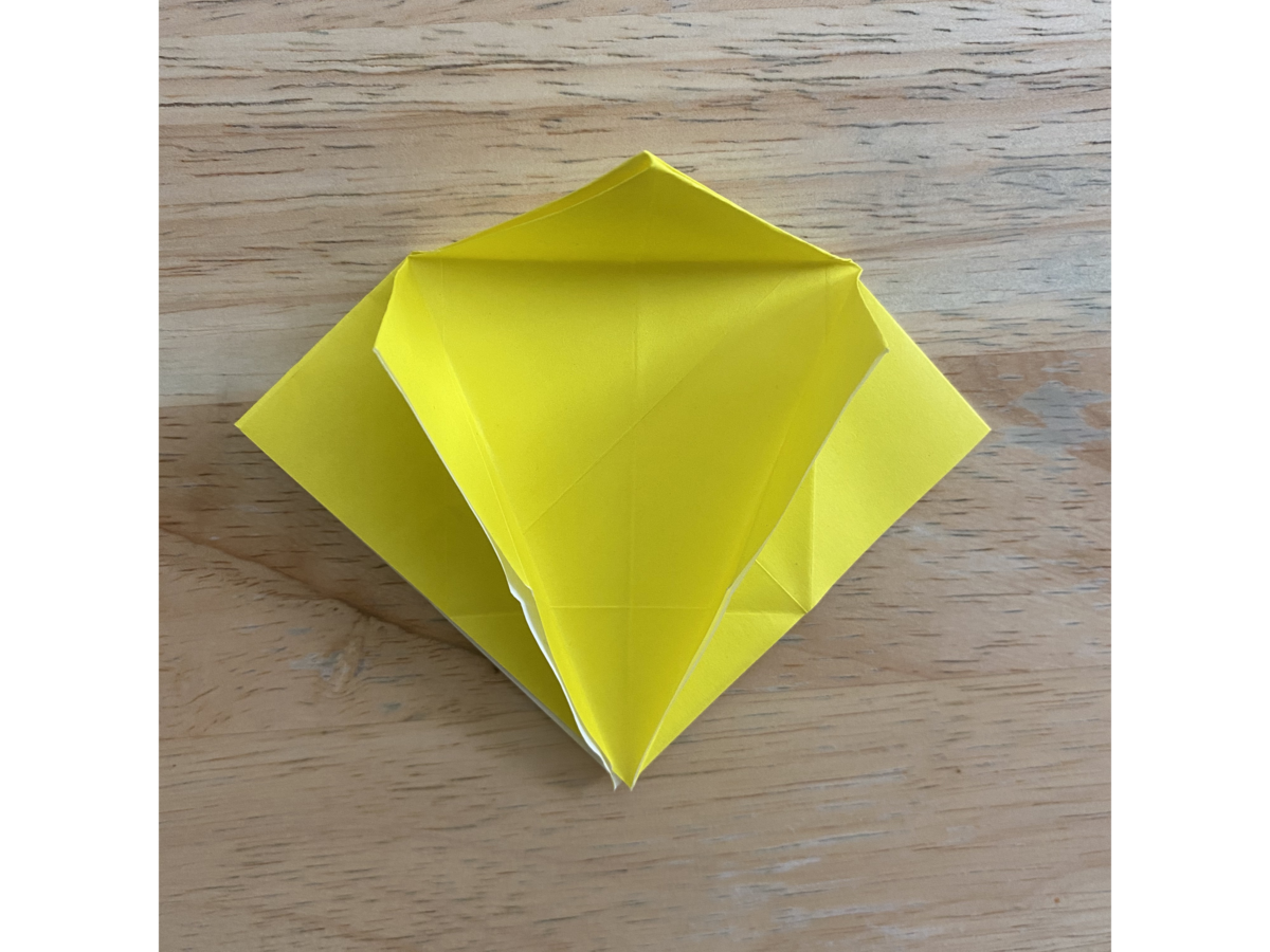 Detail view of an origami step.