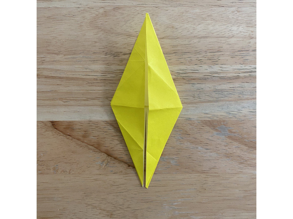 Detail view of an origami step.