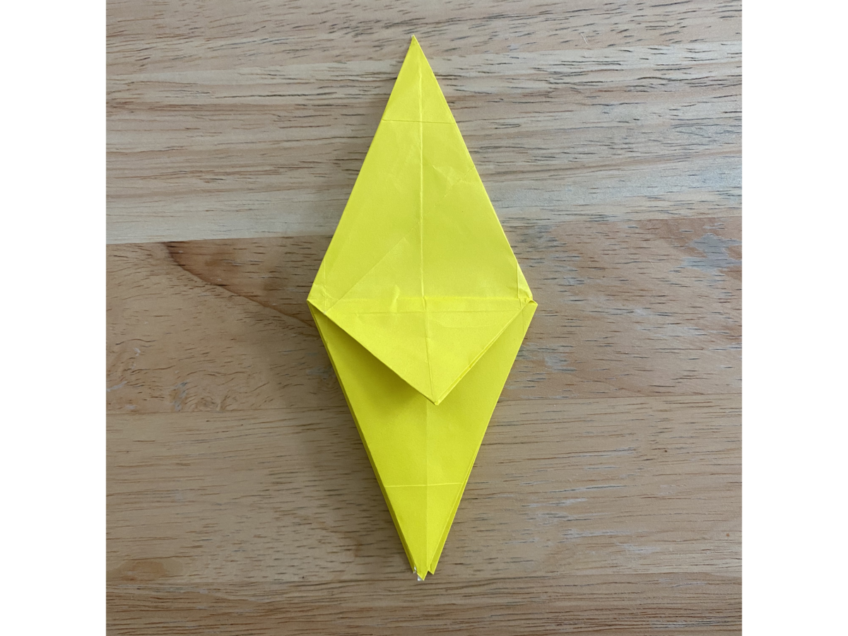 Detail view of an origami step.