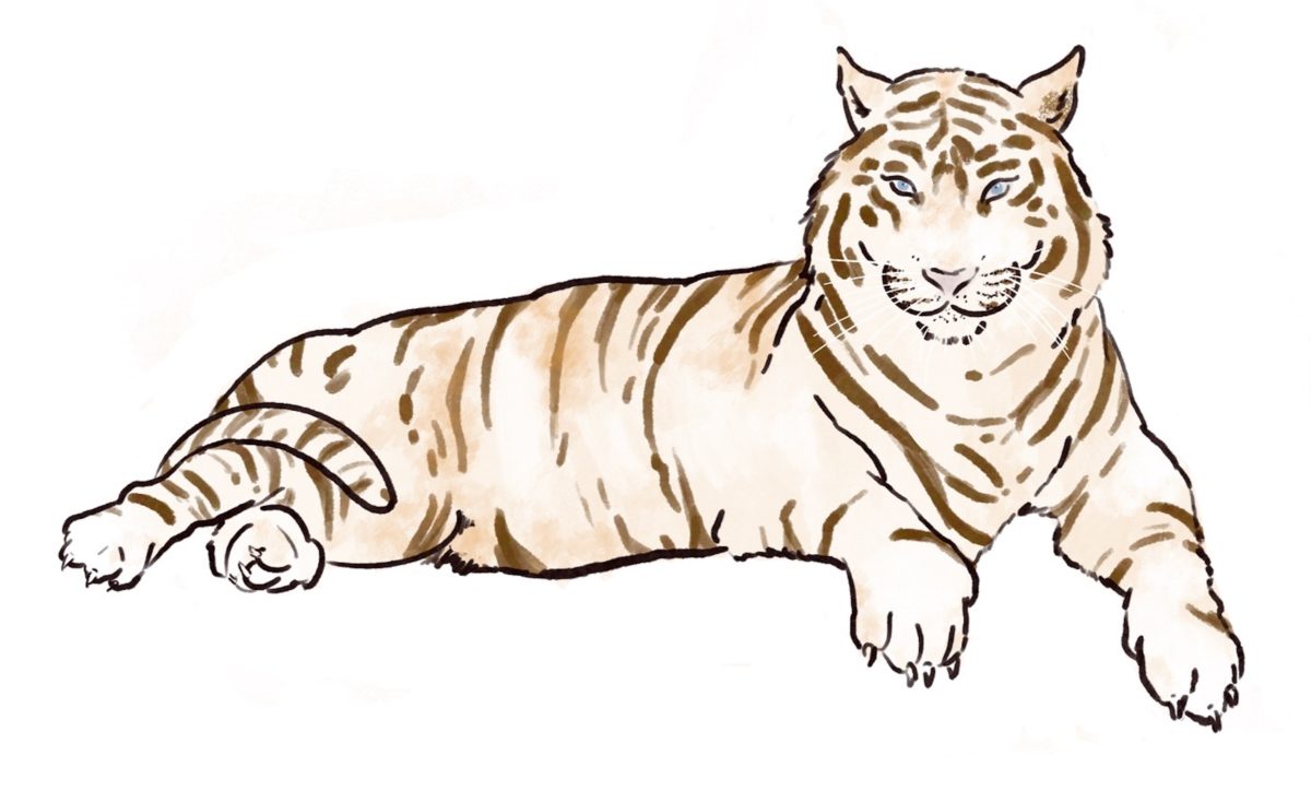 Tiger