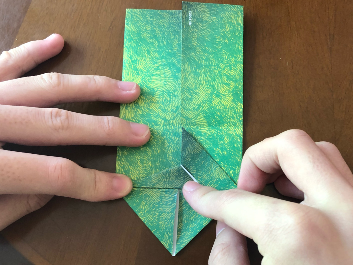 Detail view of an origami step.