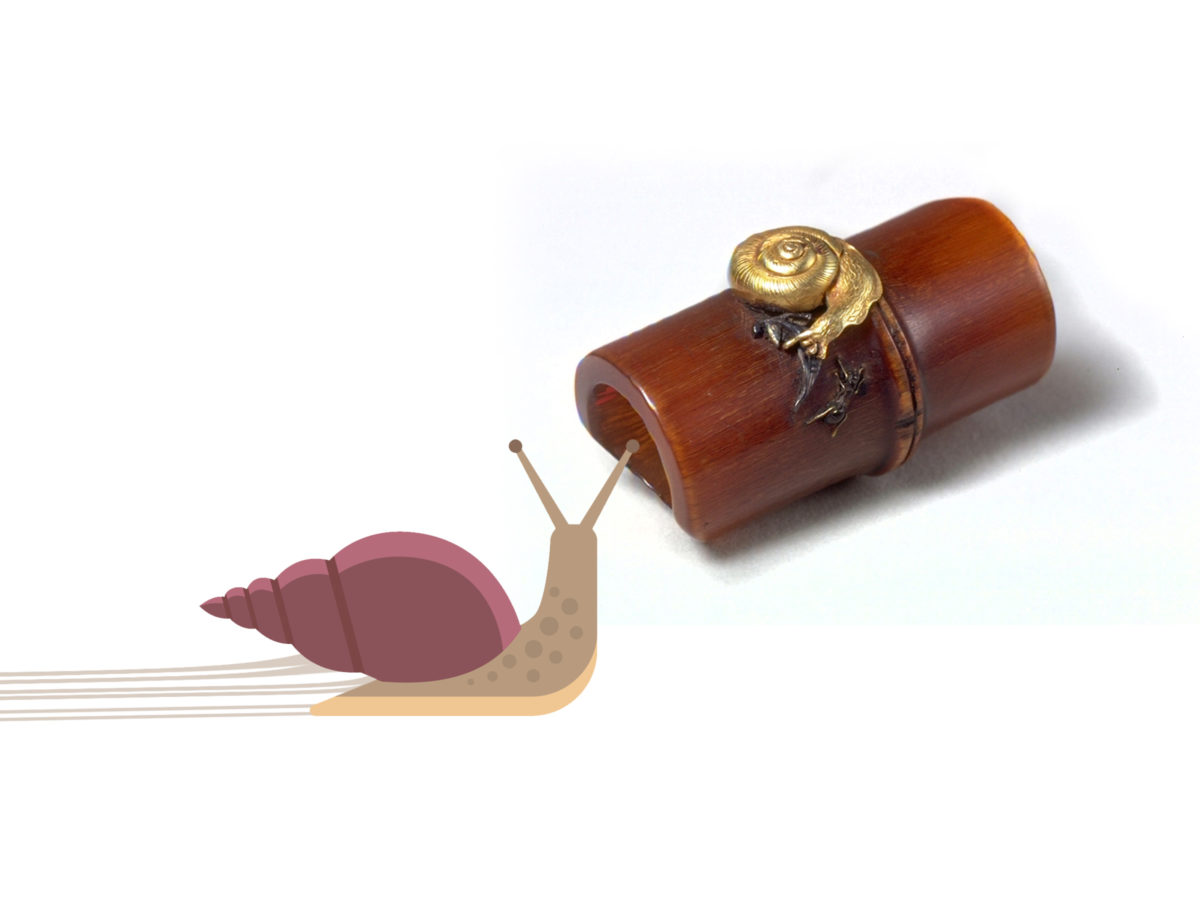 Snail