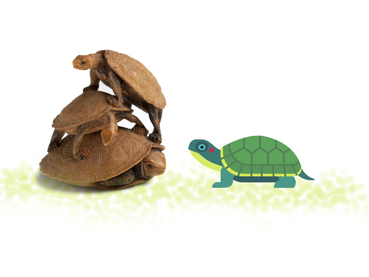Turtle